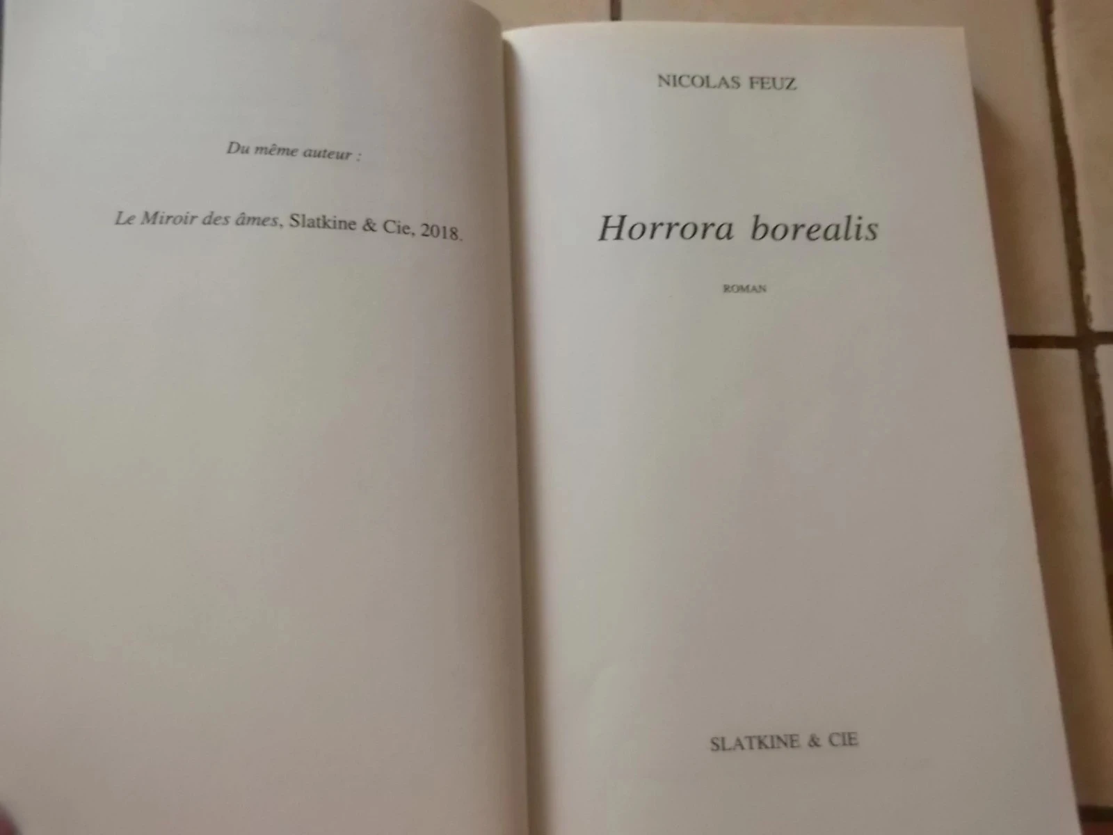 Borealis Horrora – photo 4